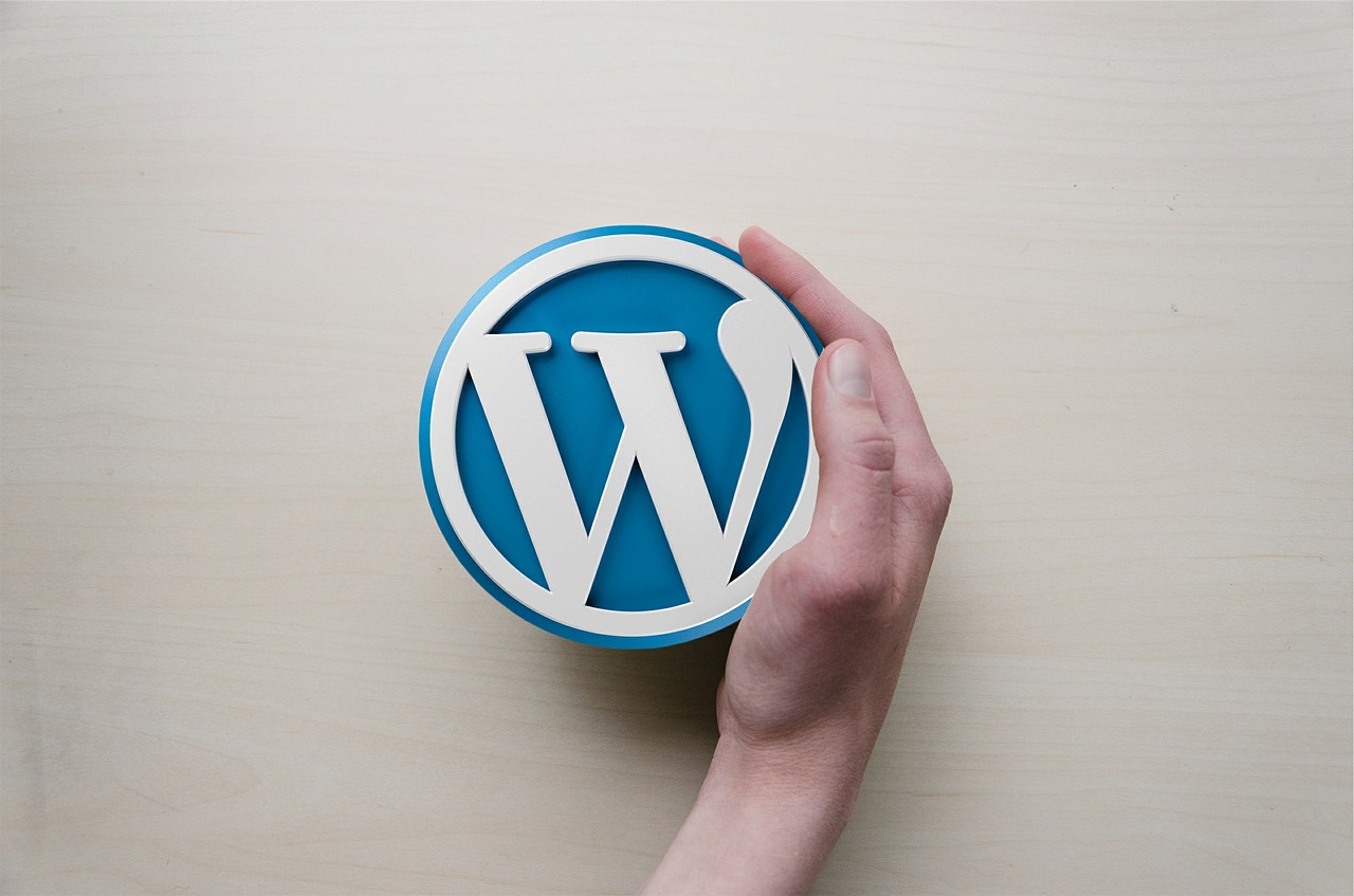 10 Things You Need To Know About accessiBe WordPress