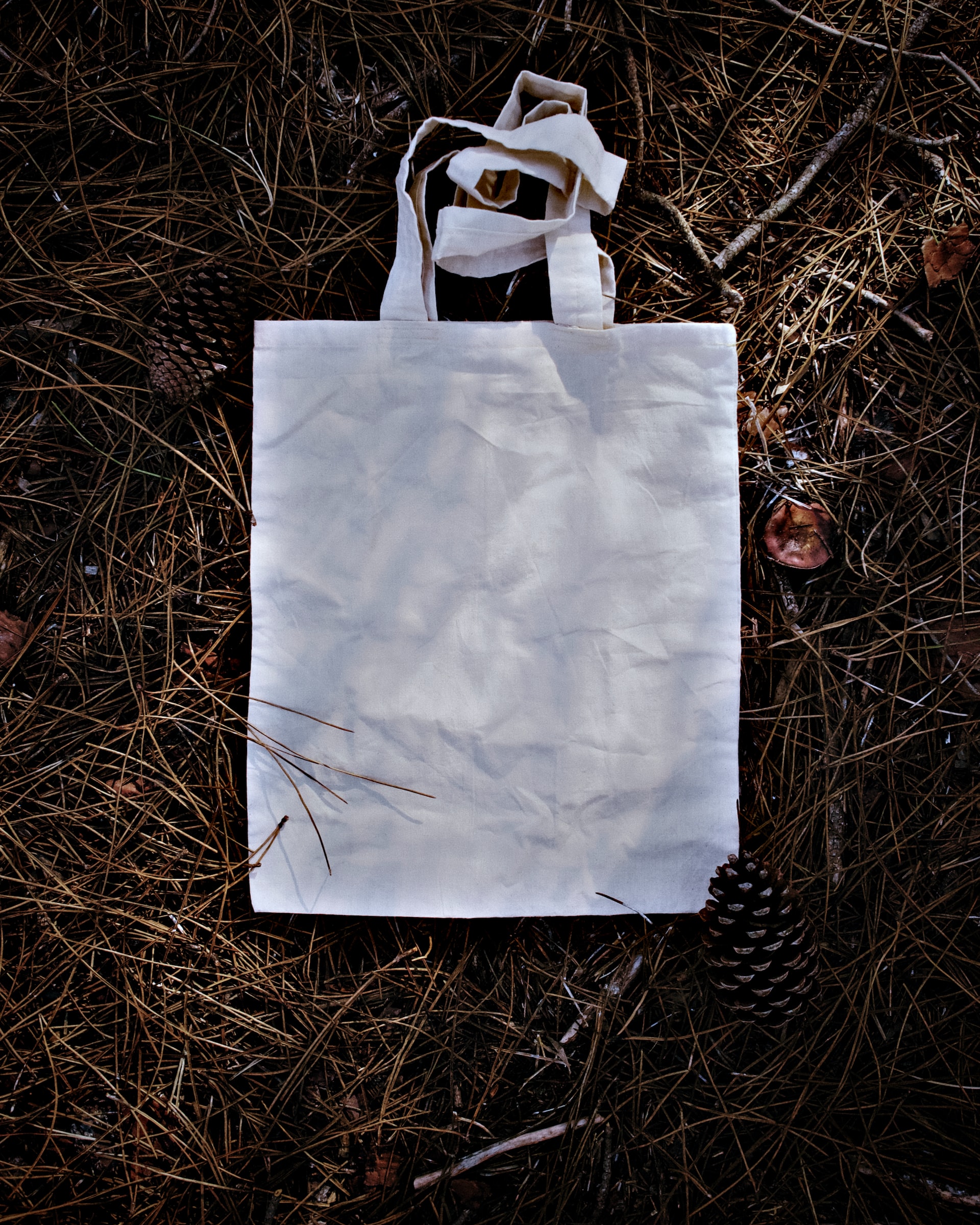 4 Ways to Repurpose Reusable Bags Besides Grocery Shopping